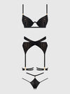 Snake Velvet-Burnout Mesh Bra, Garter, & Backess Hipster Set