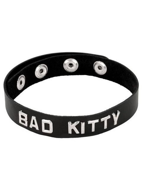 Bad Kitty