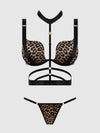 Makw Me Meow! Curvy Size Bra & Harness Set